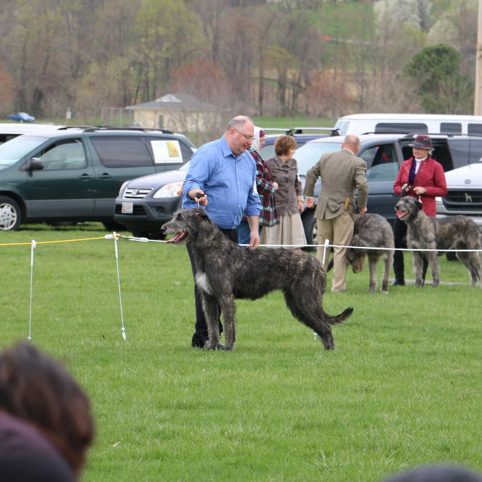 Ballyhara Kate 20 months #3