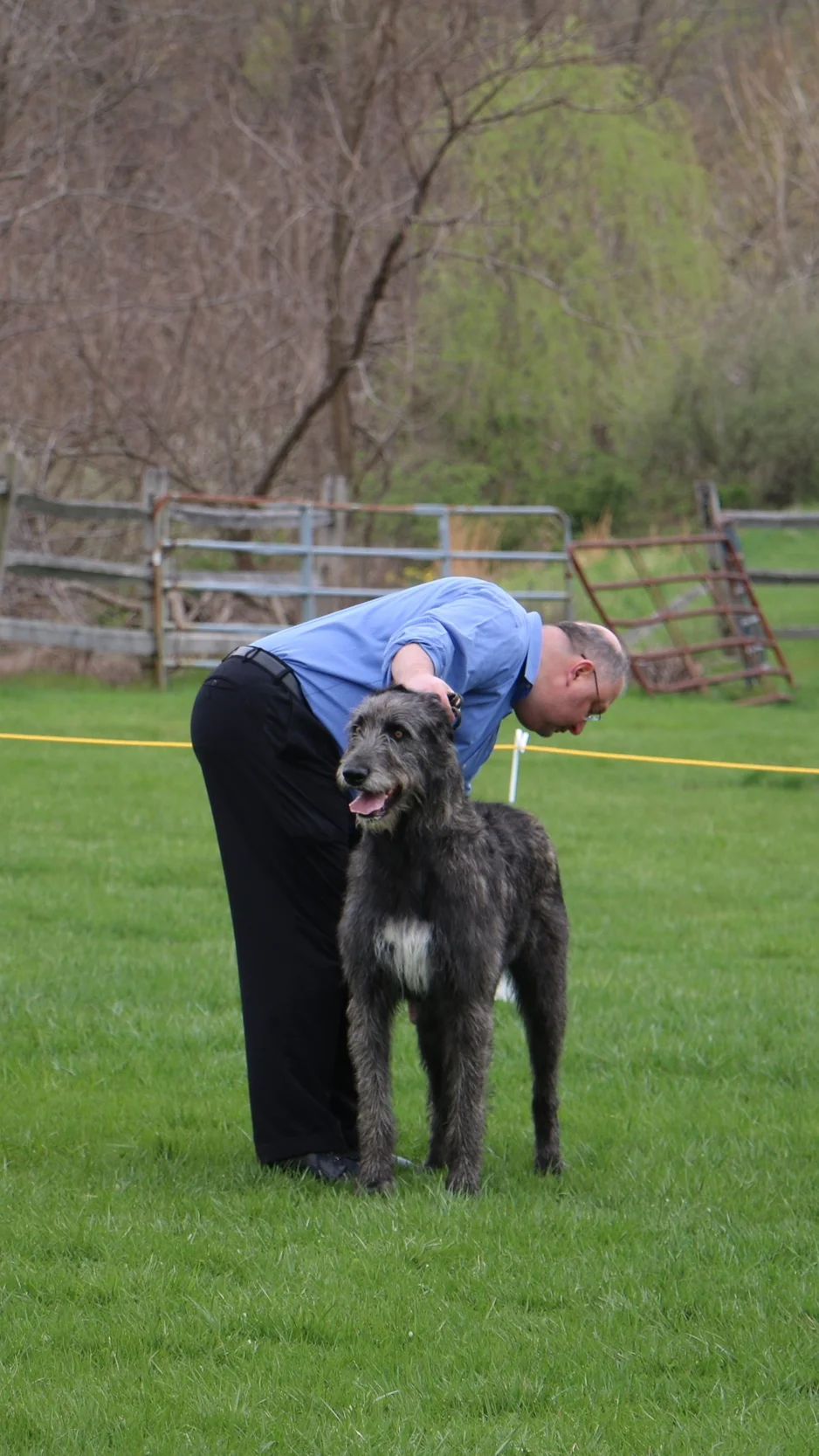 Ballyhara Kate readying for examination