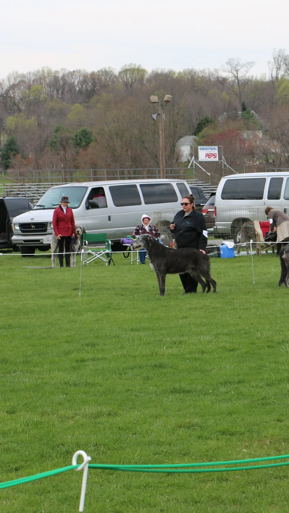 Ballyhara Cinneide 8 years Potomac