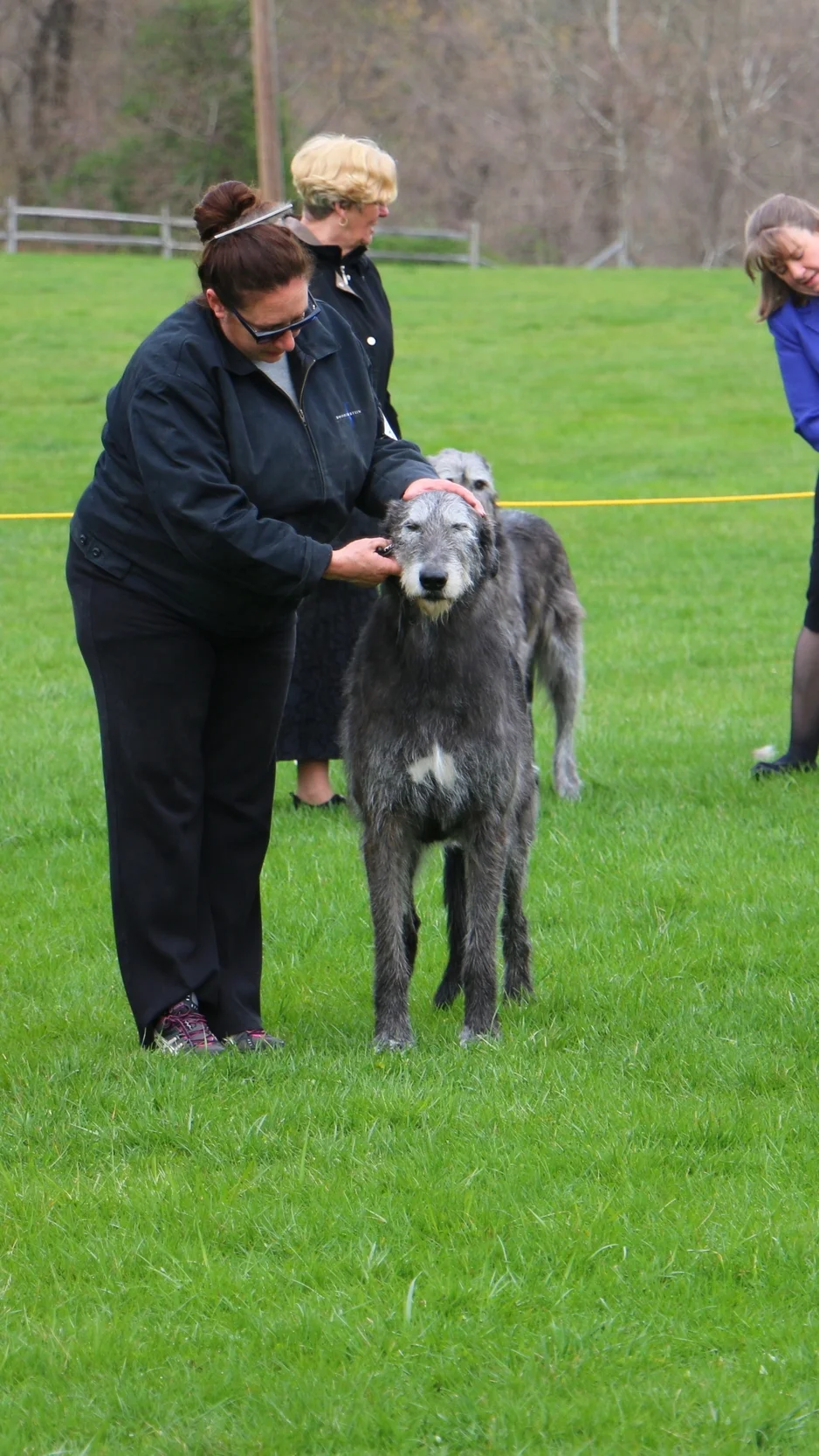 Ballyhara Cinneide 8 years for examination
