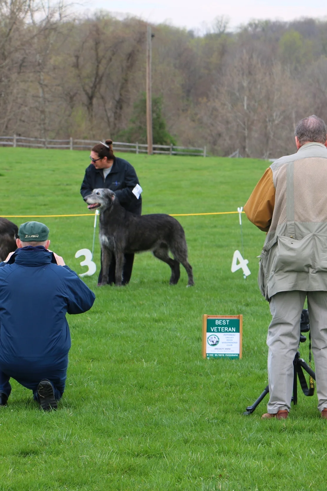 Ballyhara Cinneide 8 yrs #1