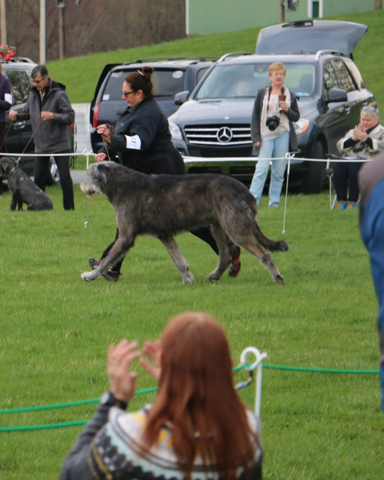 Ballyhara Danny gaiting around