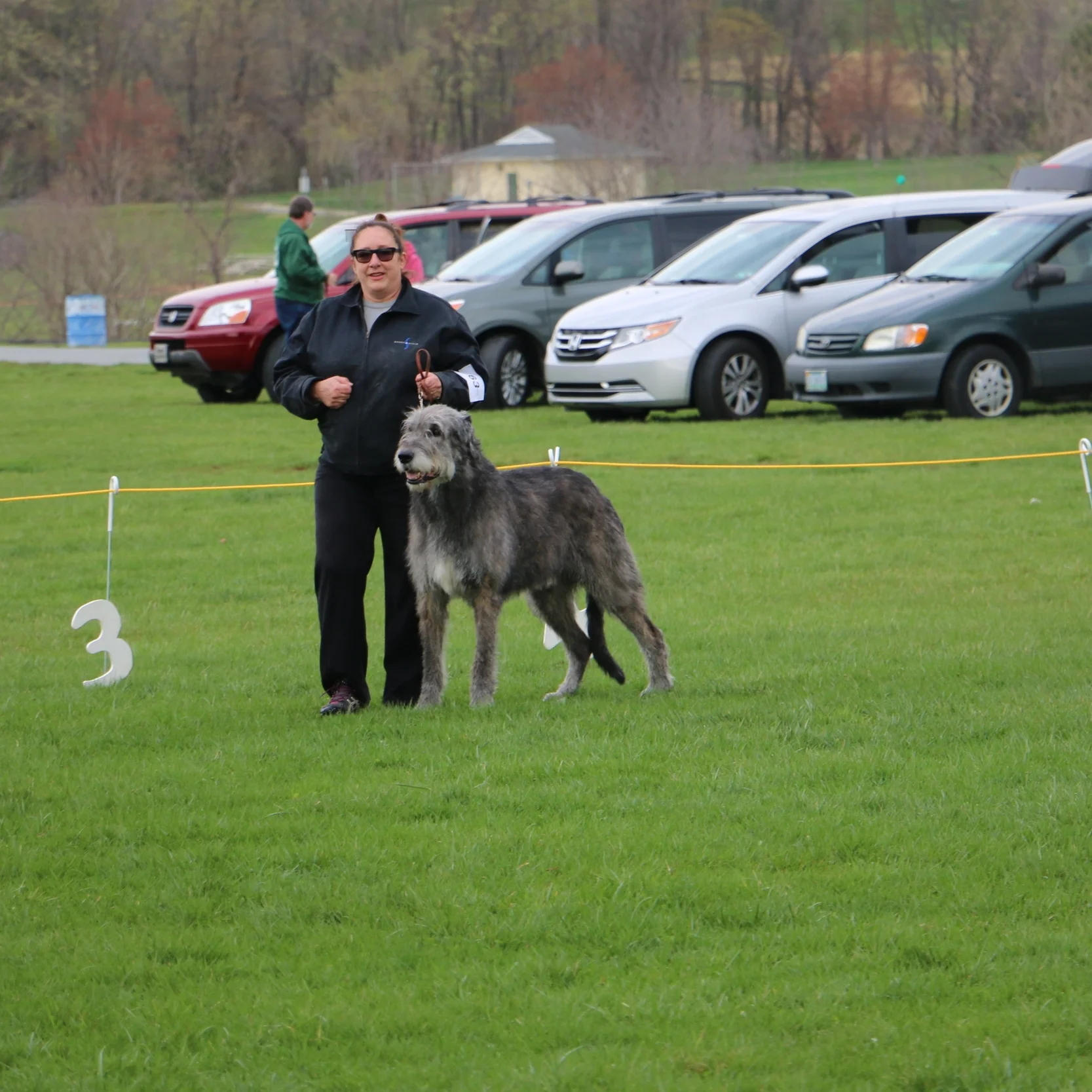 Ballyhara Danny 8 years of age at Potomac