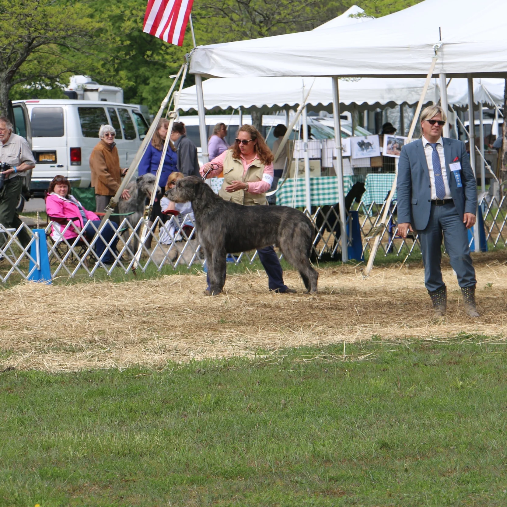 Ballyhara Ki 2017 IWCA National 