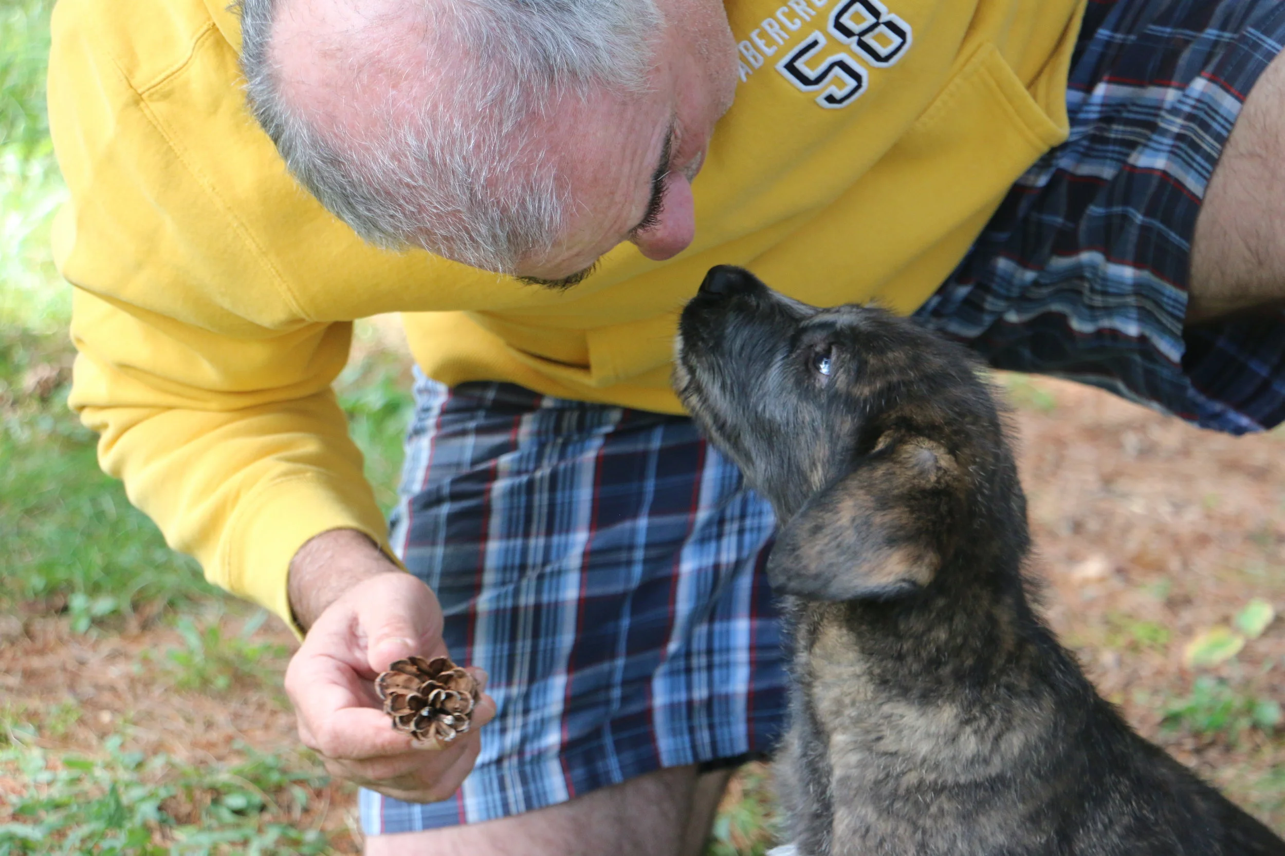 Bob &amp; Mane 6 weeks