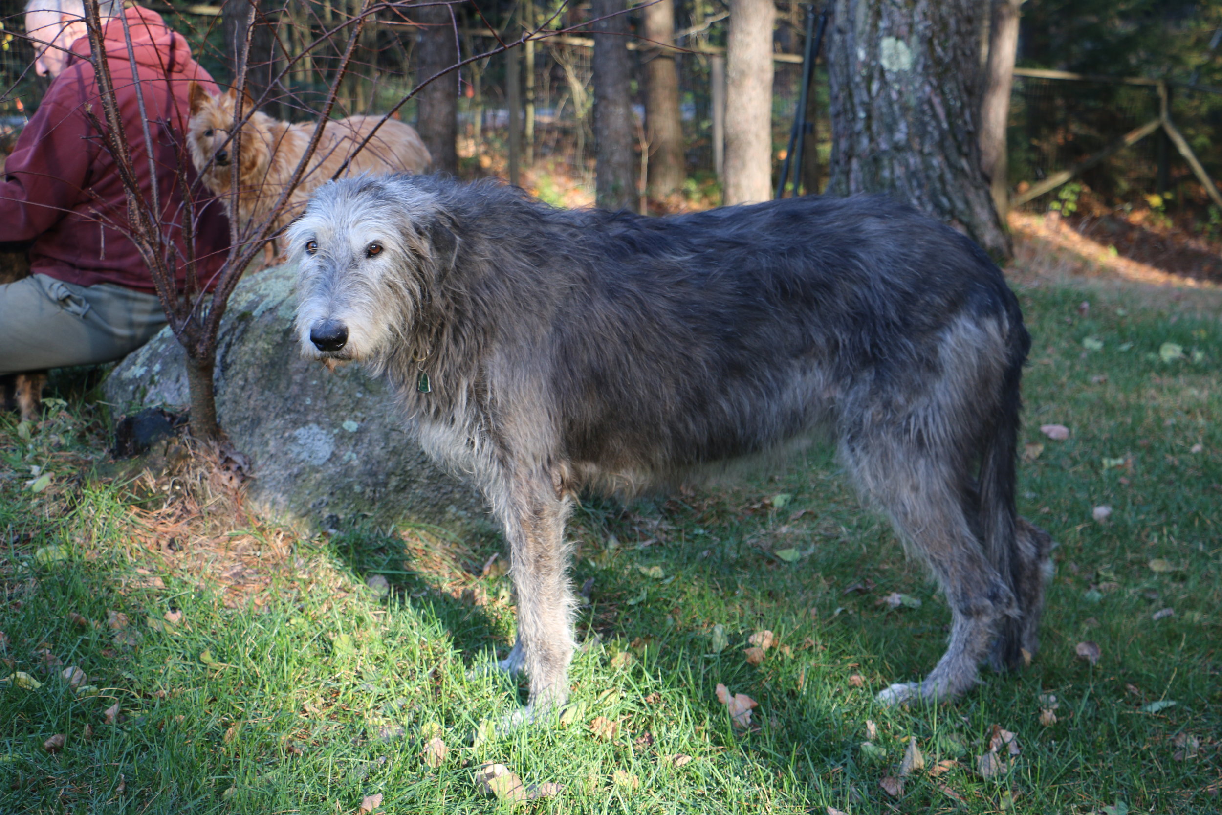 Kennedy 10 years 7 months of age