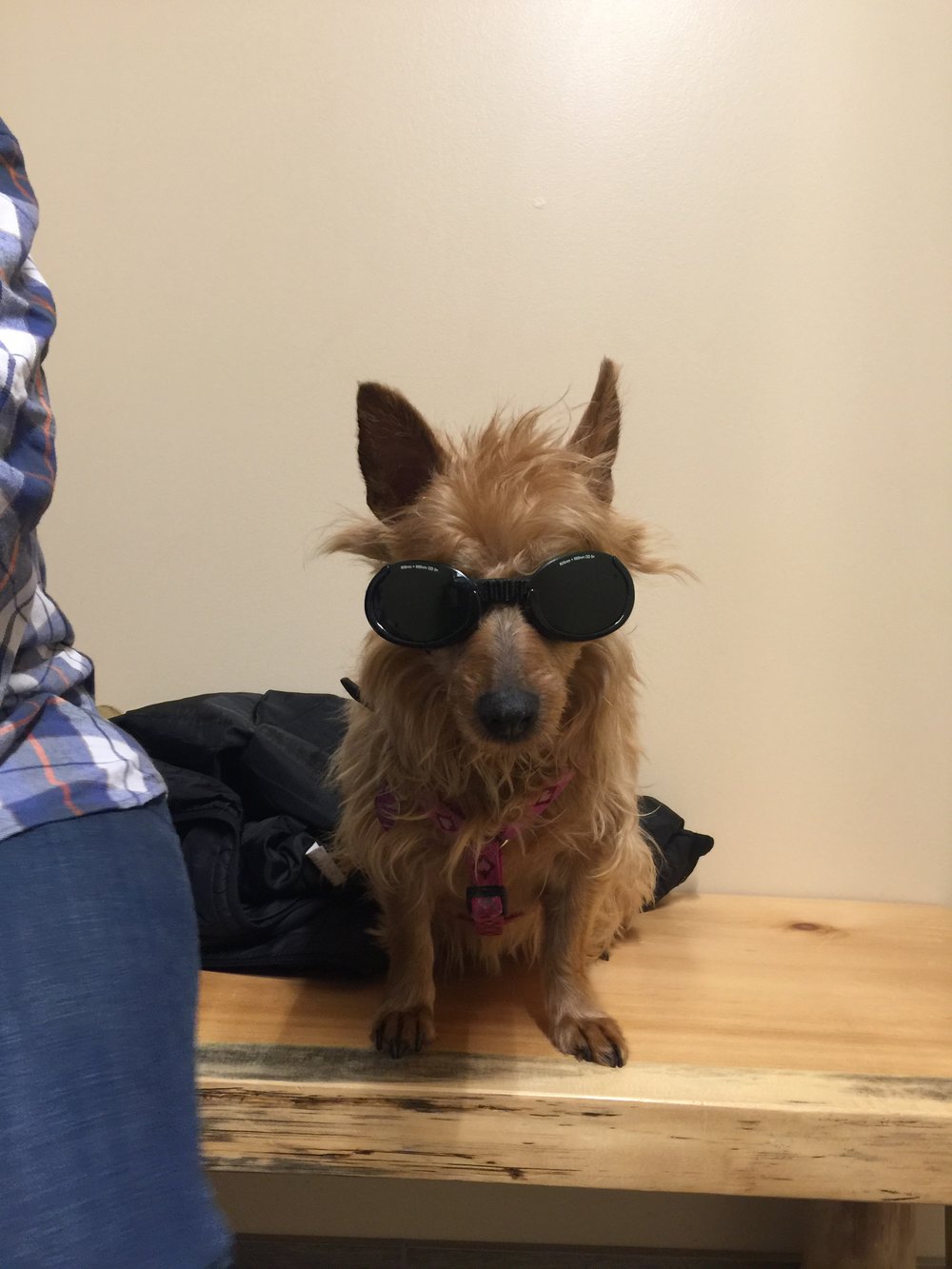 Lucy wearing googles during a Laser Treatment on Danny