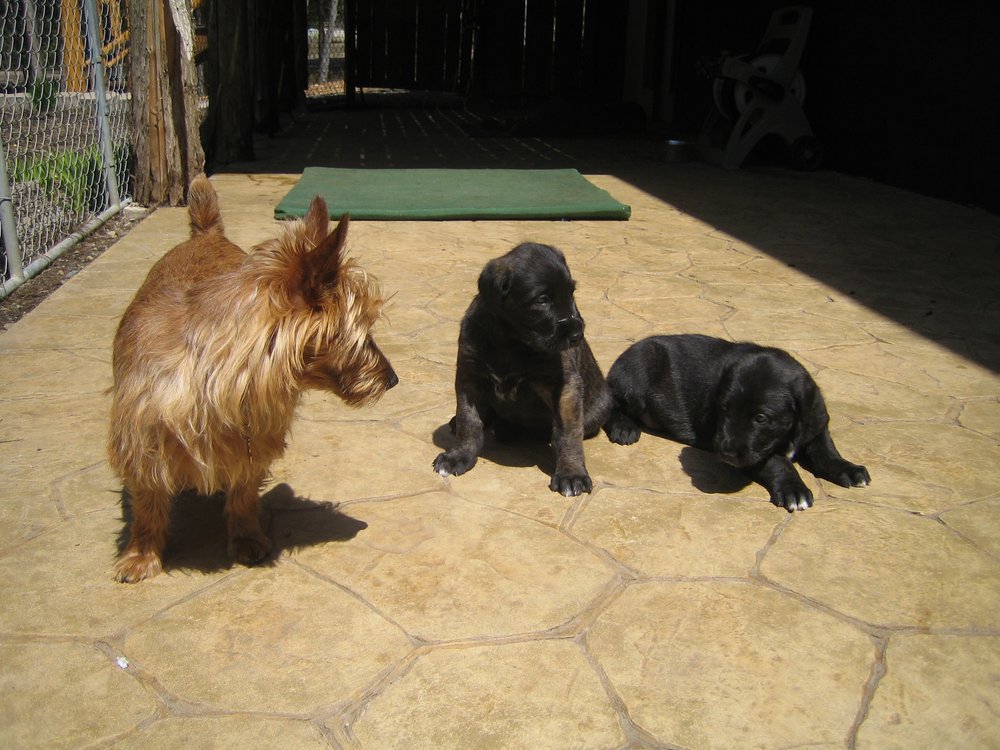 Two of Lucy's "charges" almost 11 years ago