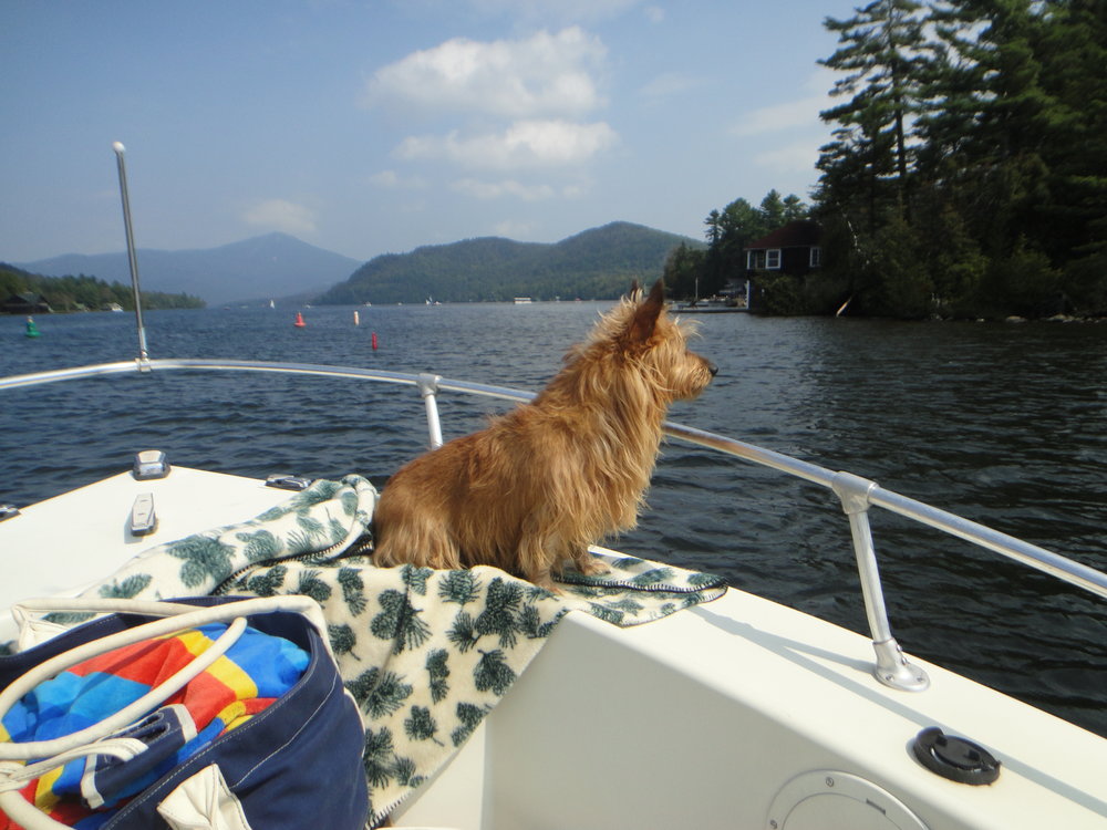 Lucy LOVED boating. She was a natural "seadog"