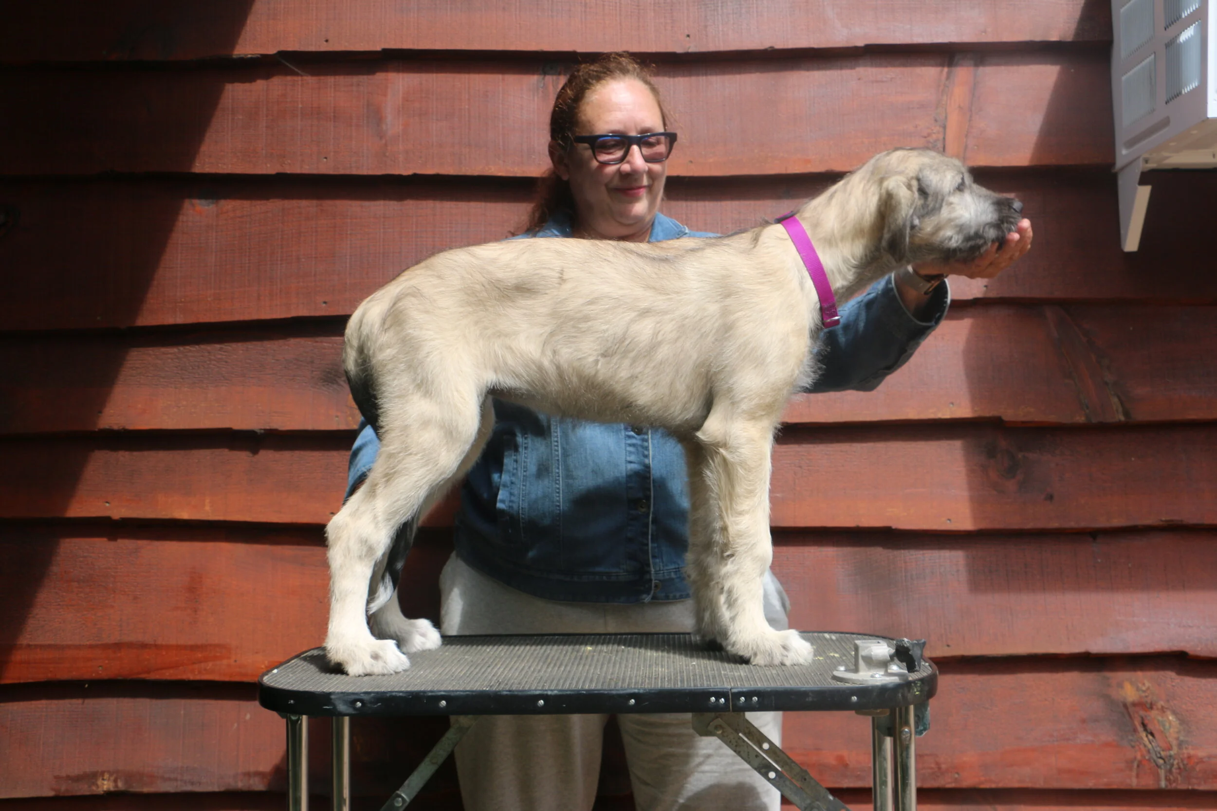 Ballyhara Ailbe 12 wks