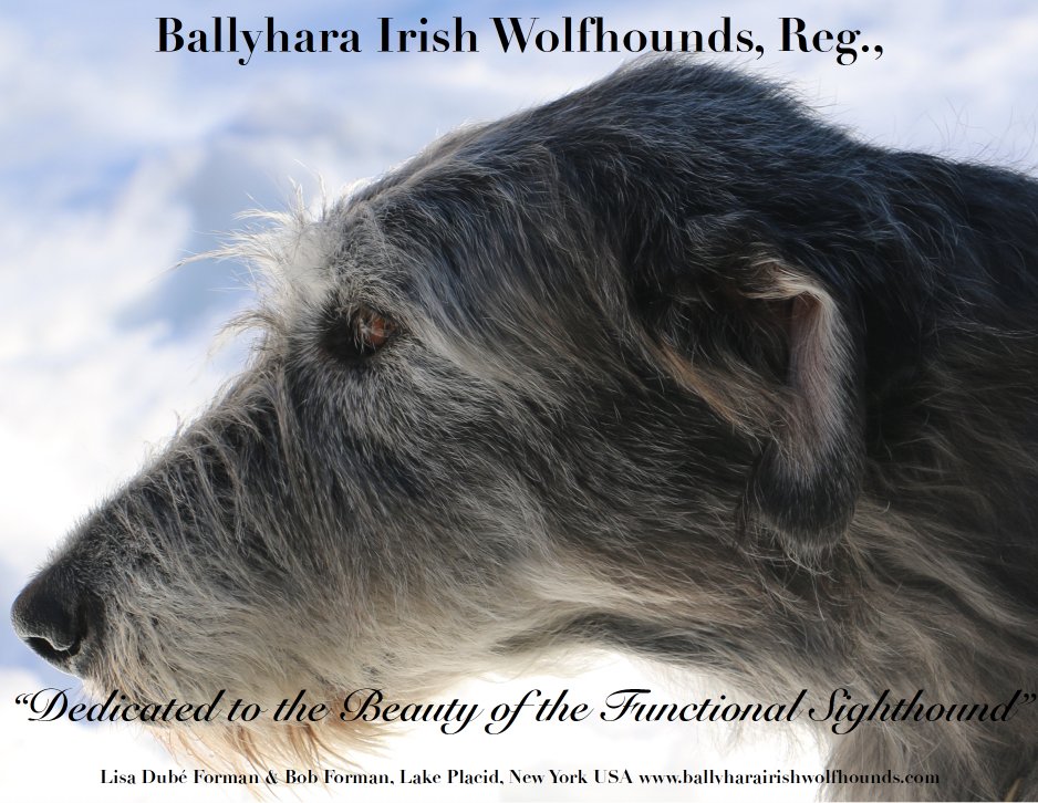 Ballyhara AD Draft #2 Summer 2017 H&H.pdf 2022-01-19 15-09-54.jpg