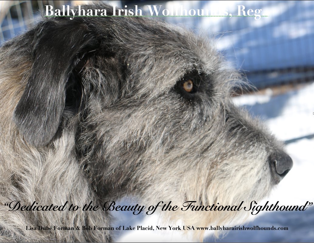 Ballyhara AD Draft #2 Autumn 2017 H&H  2022-01-19 15-08-34.jpg