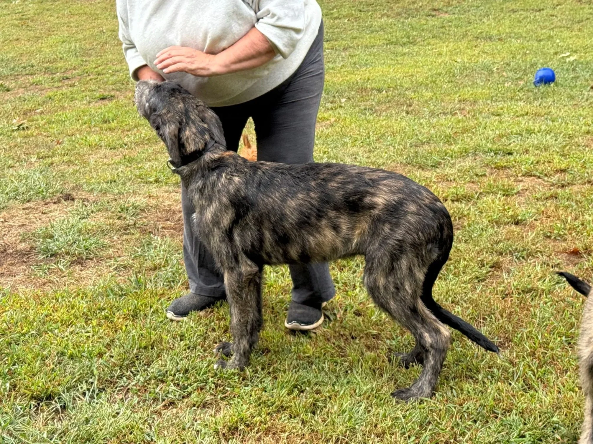 Emissary about 4 months