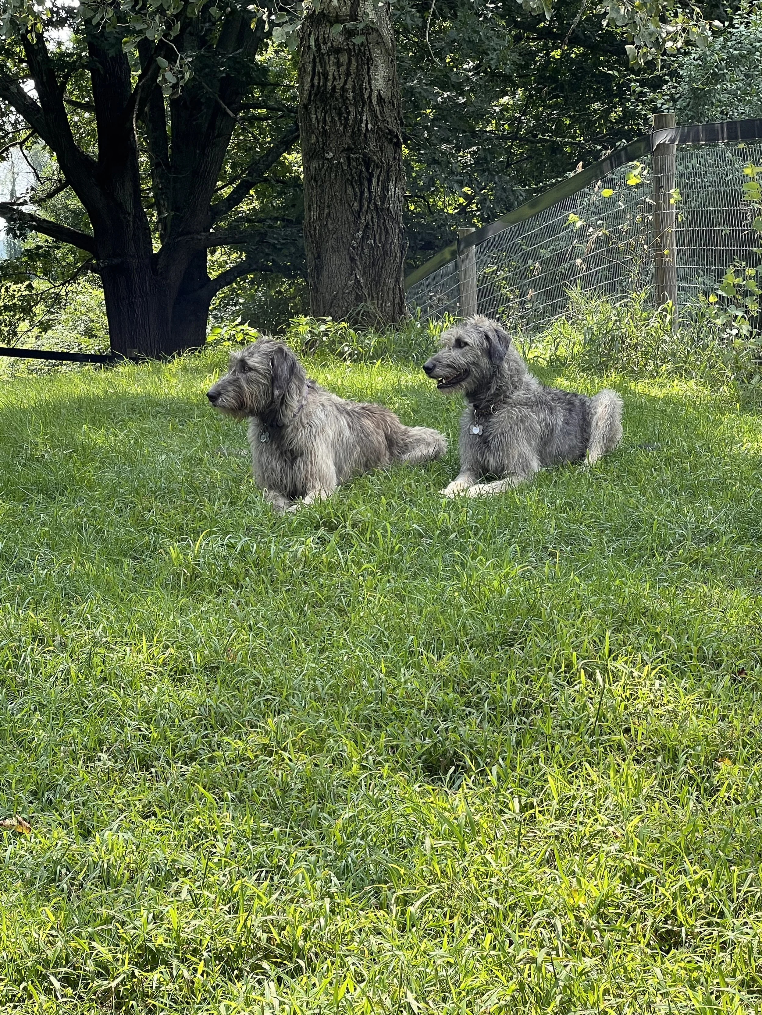 Alannah on right with Afric