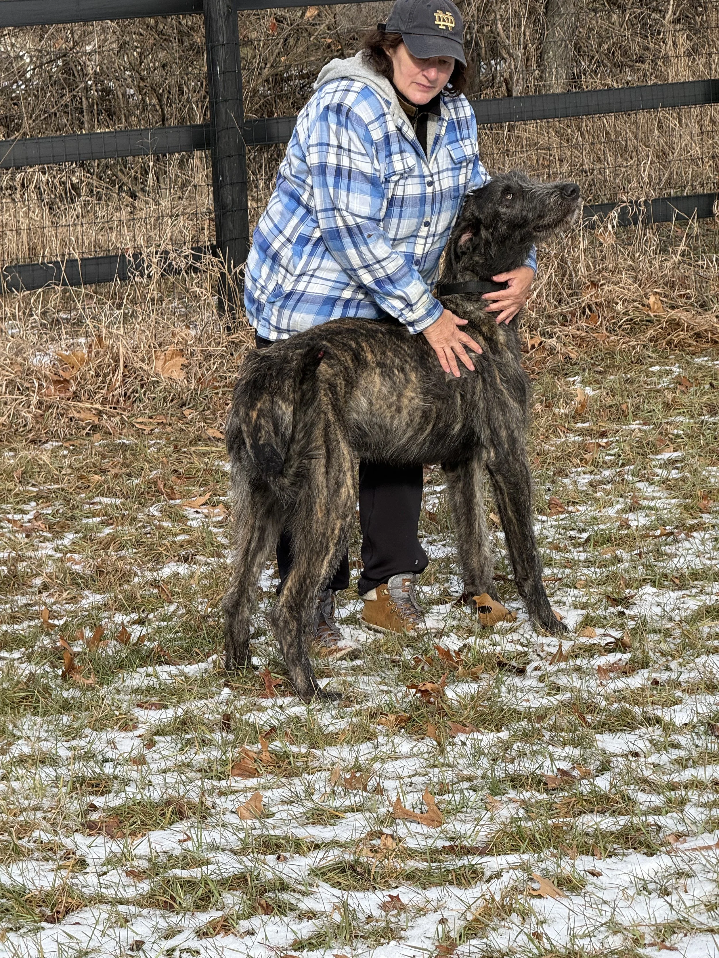 Emissary with Jeanette