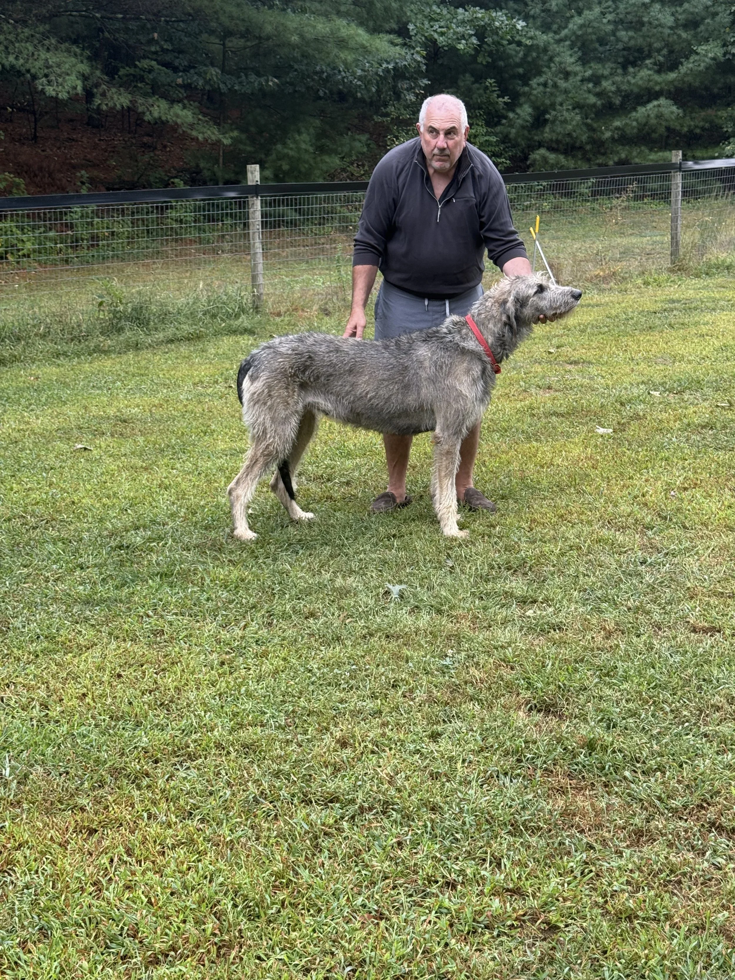 Ballyhara Alannah and Bob 5 years