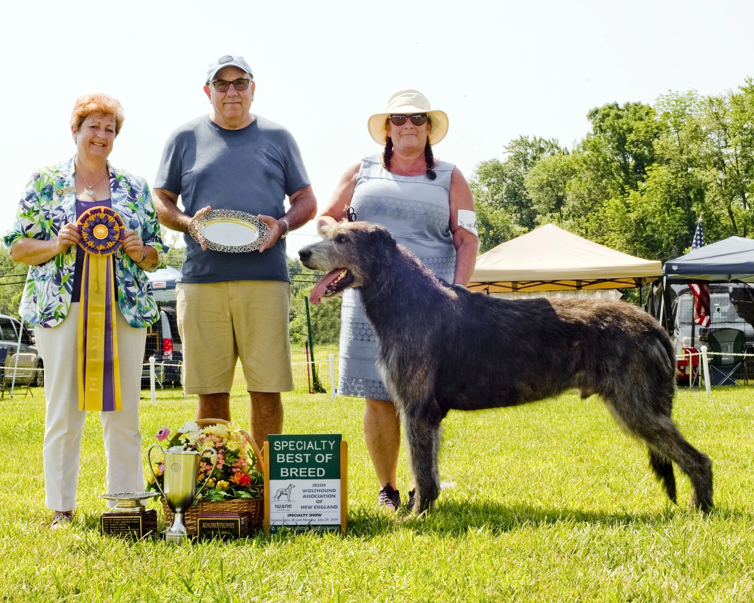 Irish Wolfhound Ballyhara Ki