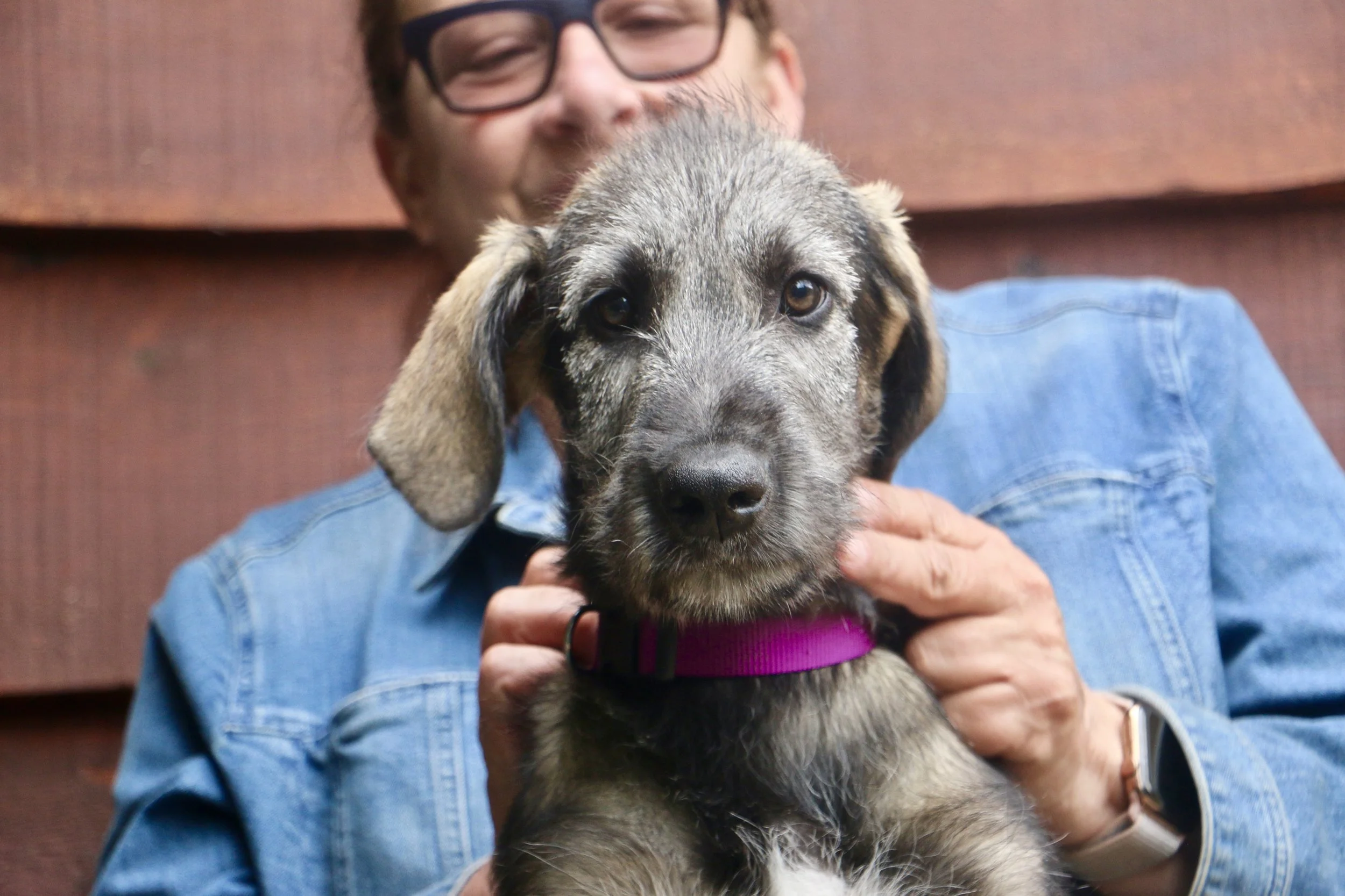 Alannah 12 weeks headshot