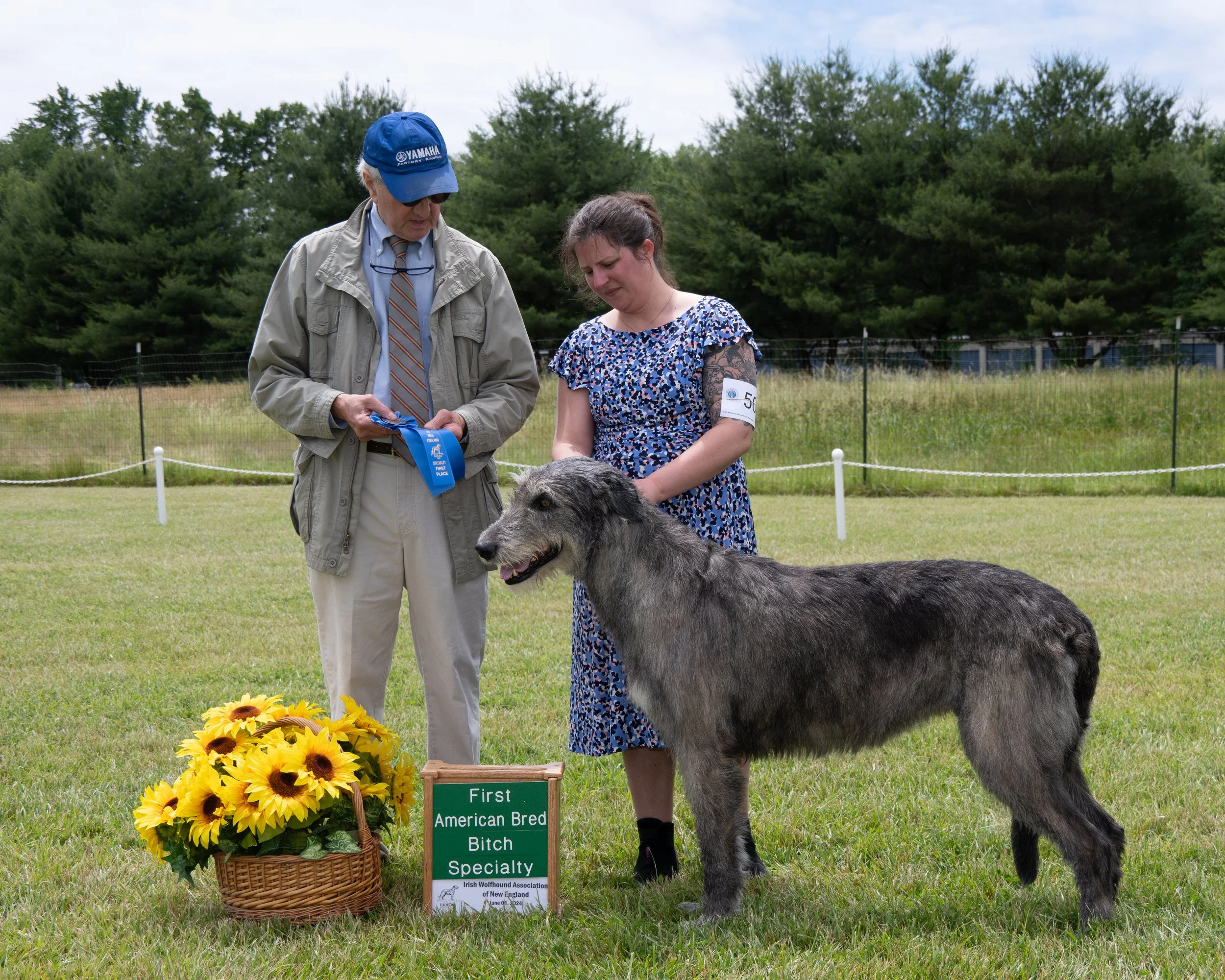 Ballyhara Aideen IWANE