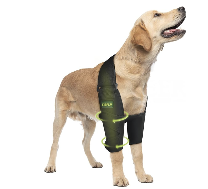 Elbow & Front Leg Support for Dogs