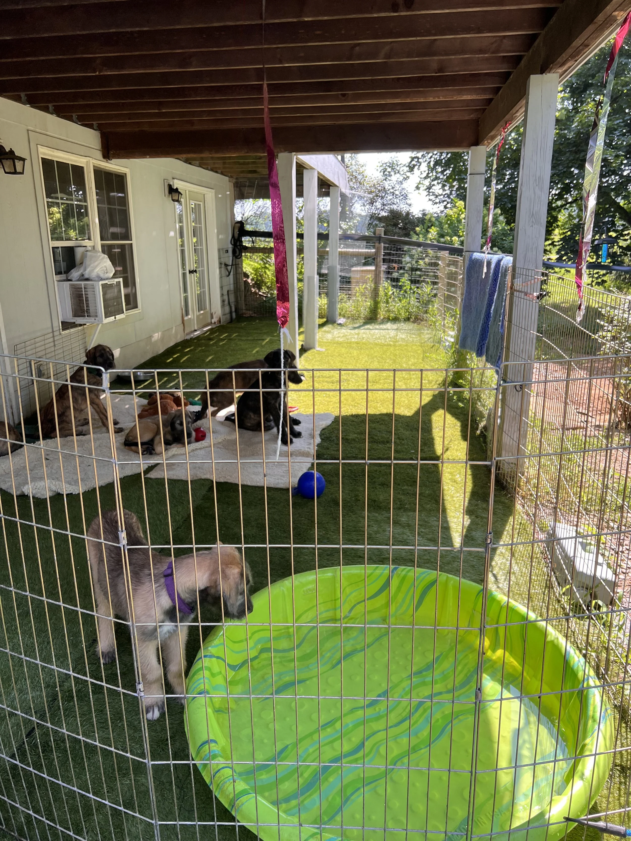Ballyhara litter play area
