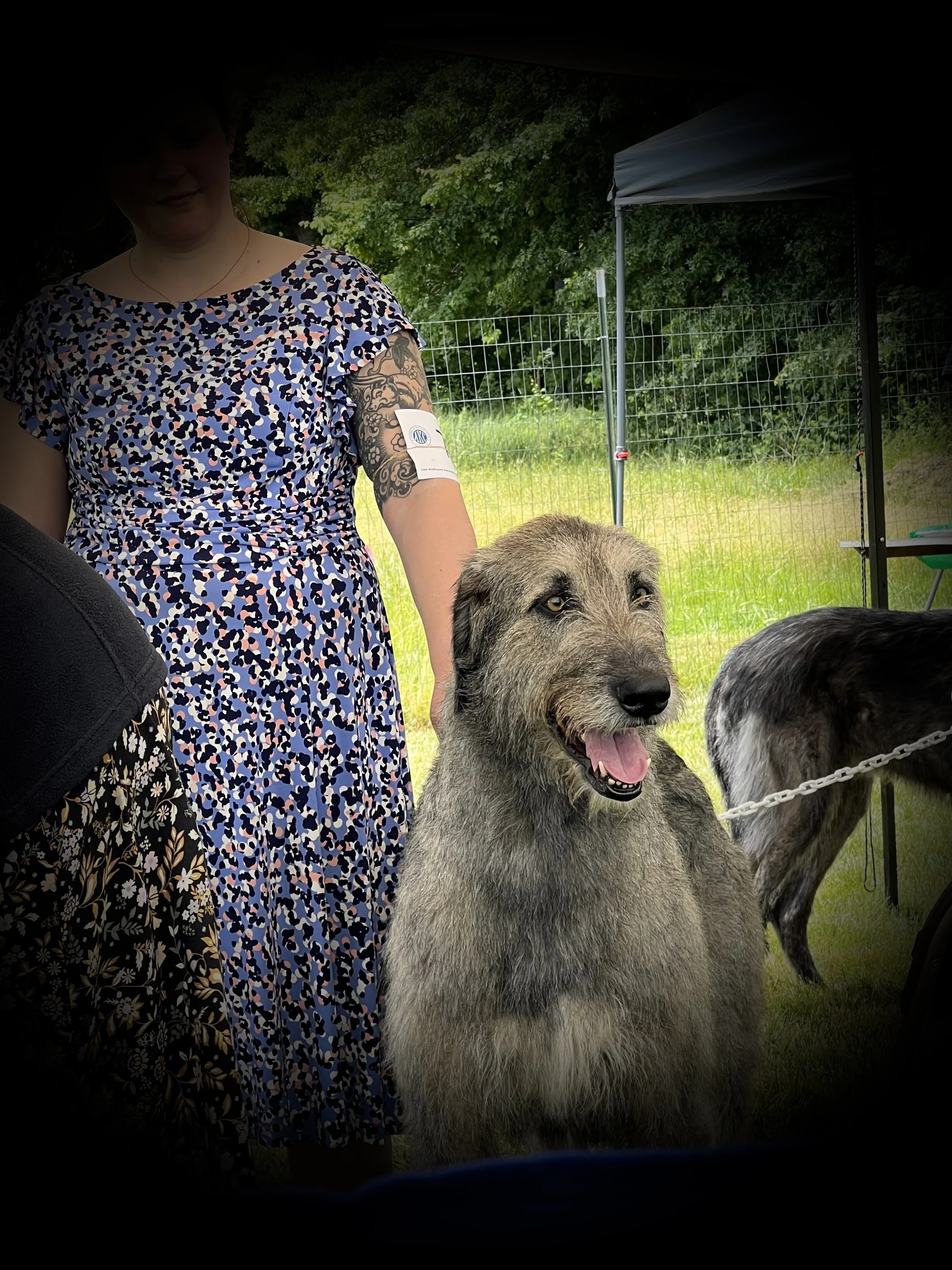 Ballyhara Alannah Headpiece