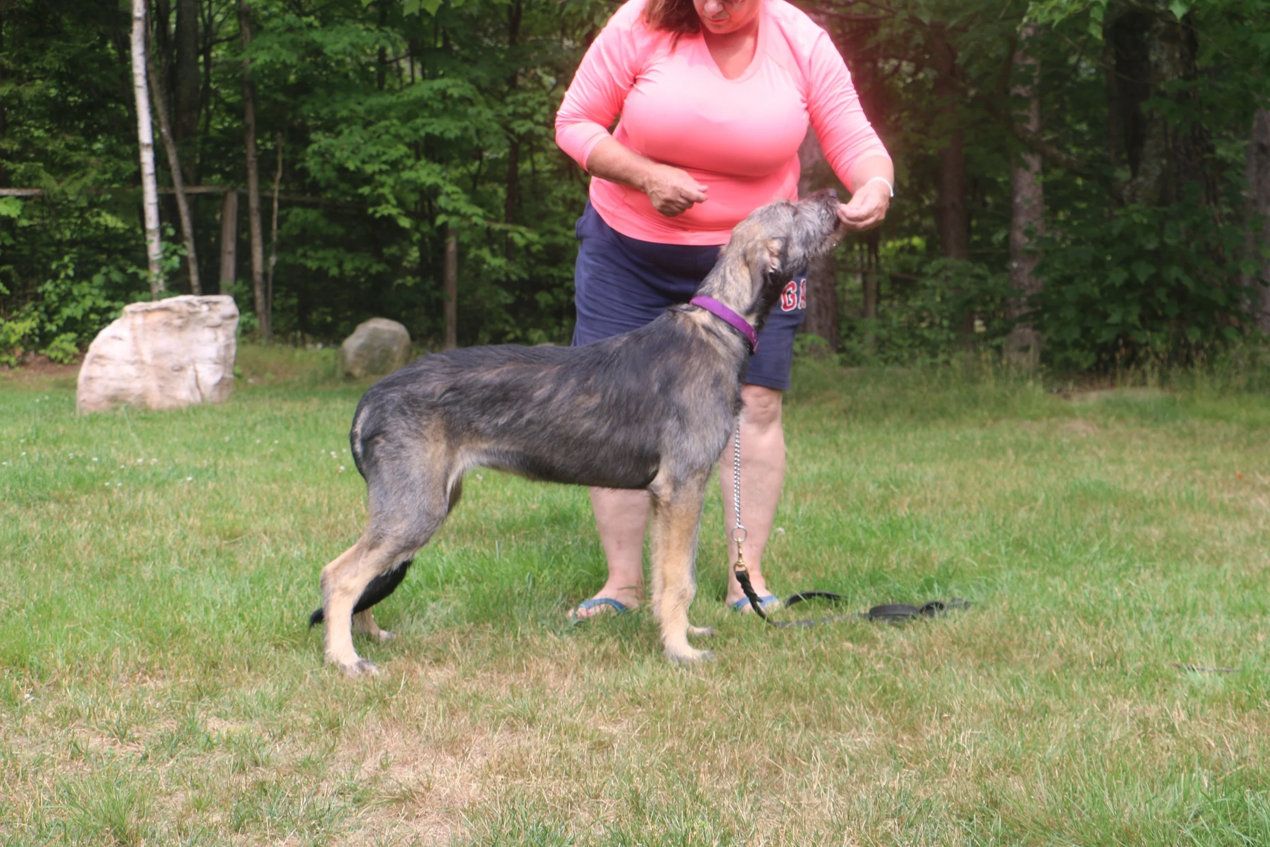 Ballyhara Alannah 10 months