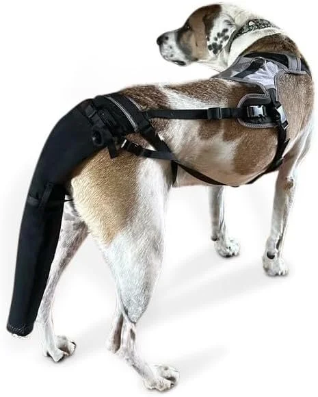 Happy Tail Protector for Longest Giants- Irish Wolfhounds