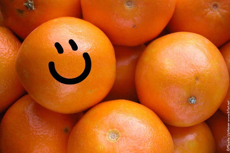 Happy oranges a plenty!
