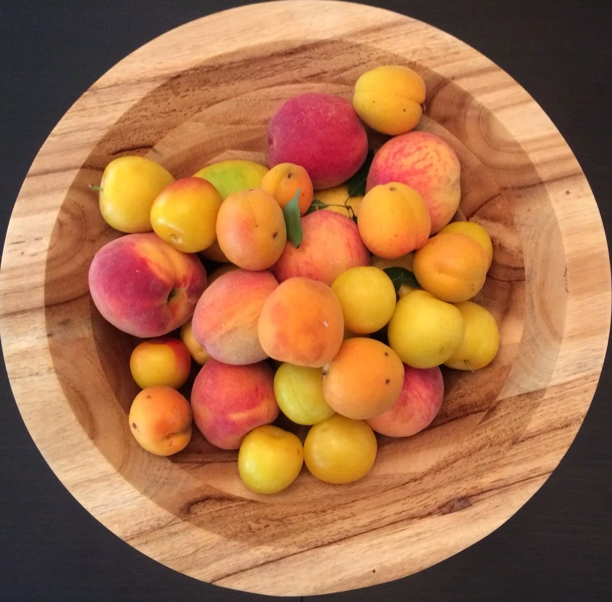 Stone Fruit from the Union Square Farmer's Market