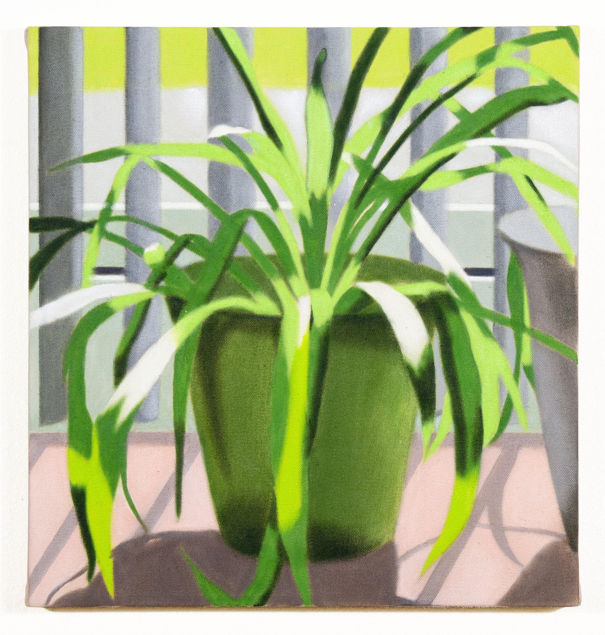 Still Life IV