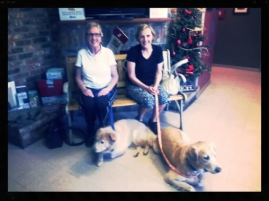 Jake and Savannah calm and in down/stays at the vet's office! A big improvement from Jake's previous behavior of anxiously climbing into their laps!
