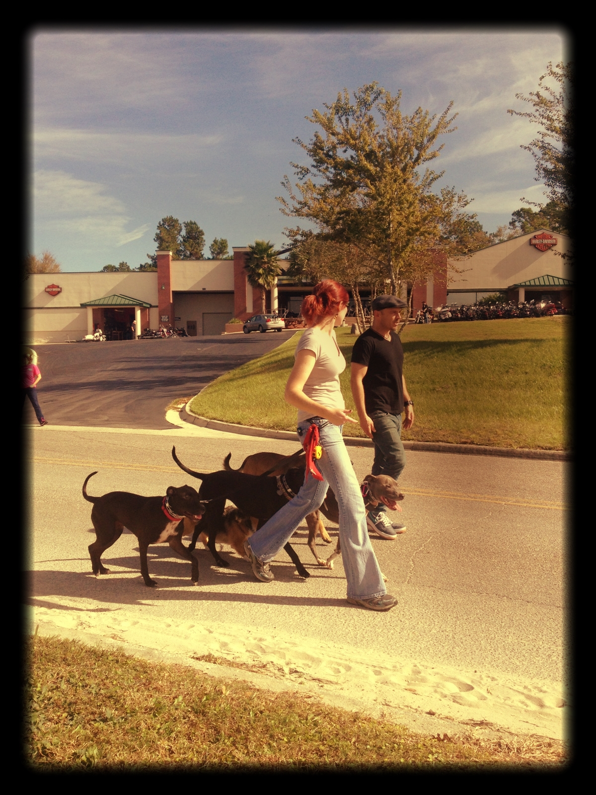 Pack Walk with myself and Sean O'Shea!