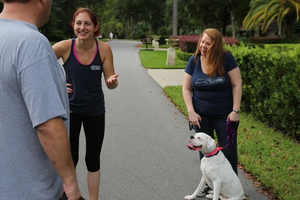 Dog Behavior Classes for Humans: Master Canine Communication Today