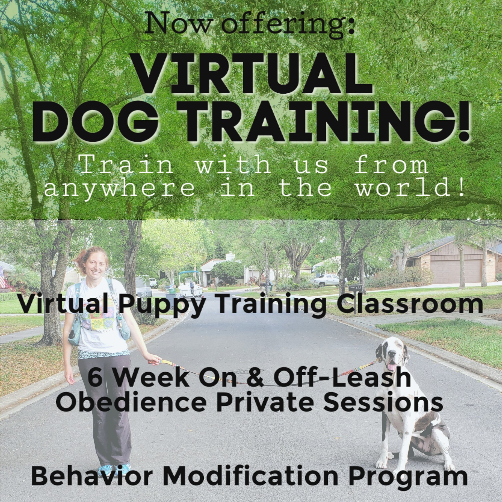 puppy classes in my area