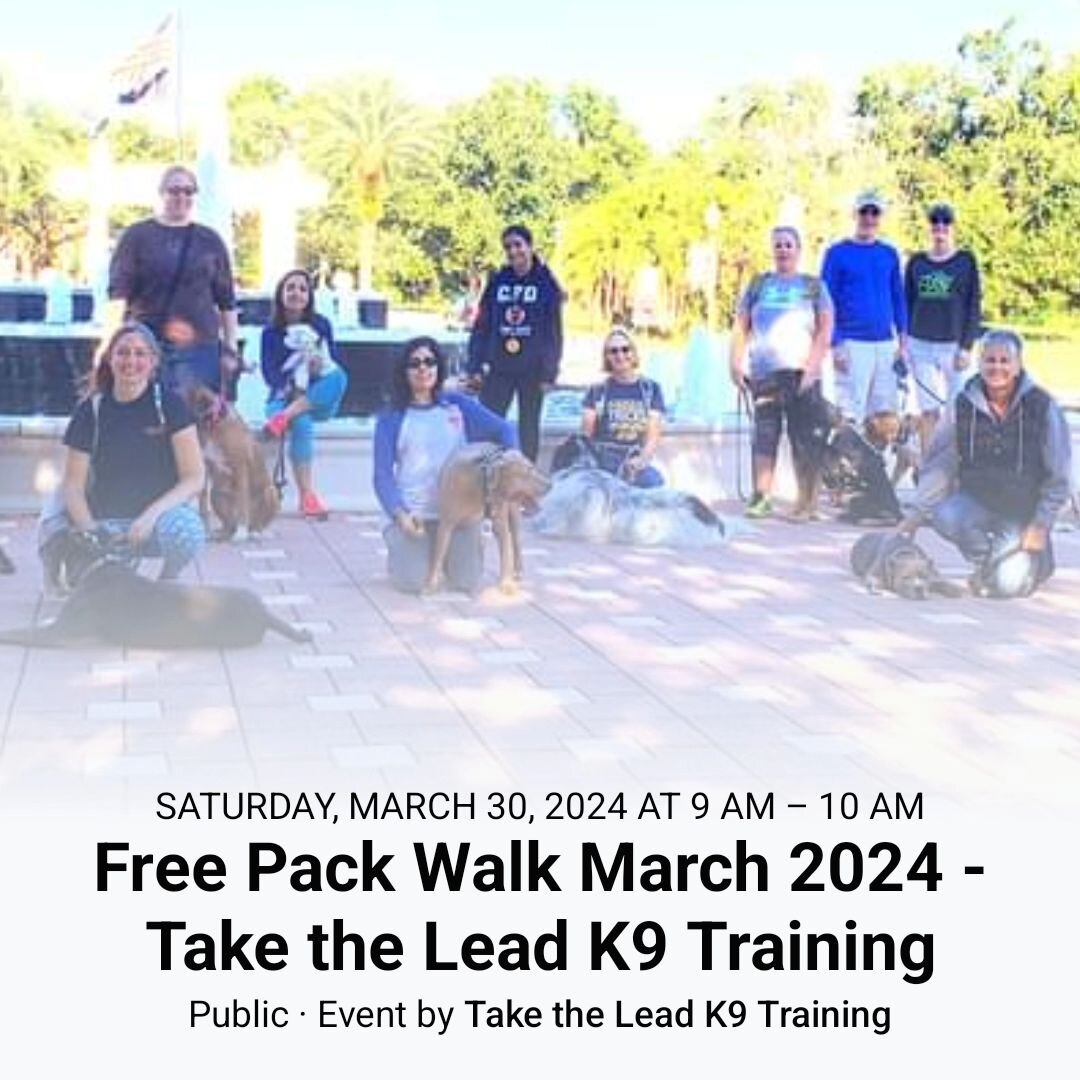 Mark your calander! We've got another Free Pack Walk scheduled in two weeks on March 30th!

These pack walks are open to all clients and non clients (who use appropriate training tools and are working on their dog's behavior) - to practice their leas