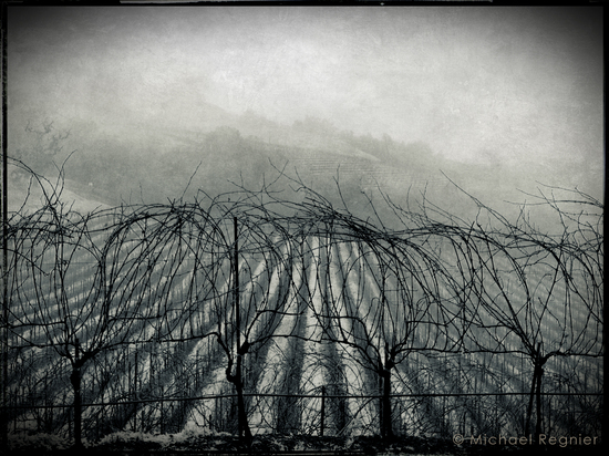 Wines for Winter Weather