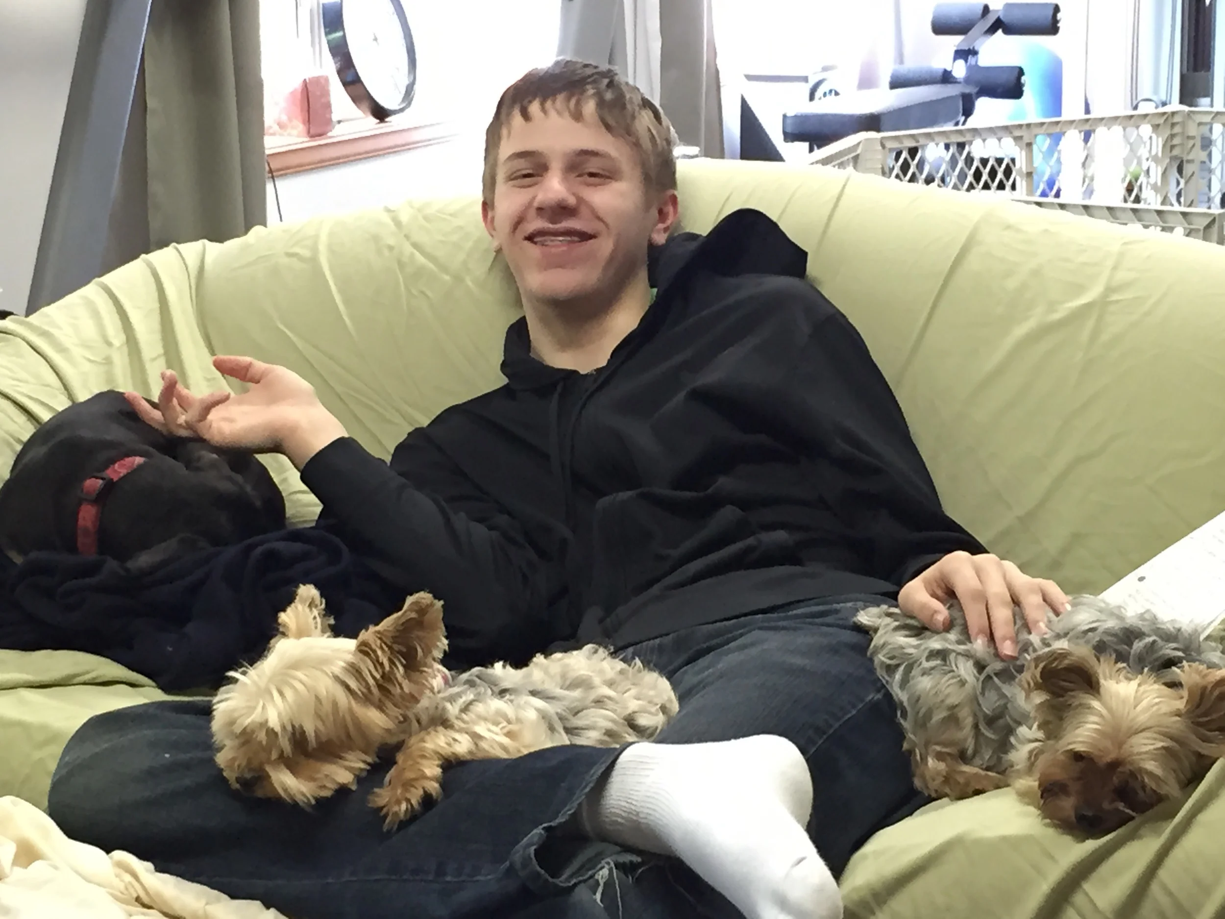Chris watched his writing teacher's dog Norman and so earned the title "Dog Whisper". He's here with Norman, Alex and Roxy. 
