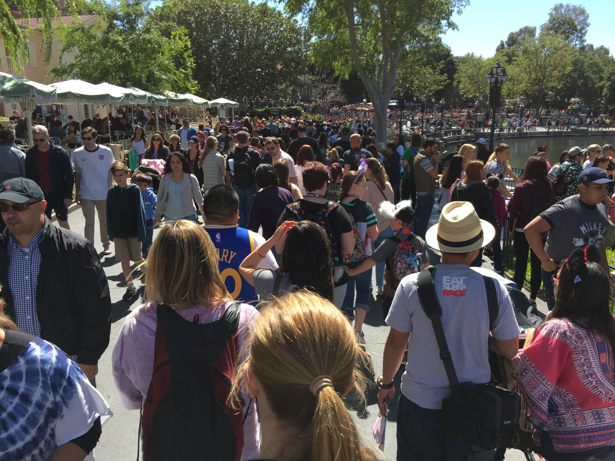 The Crowds