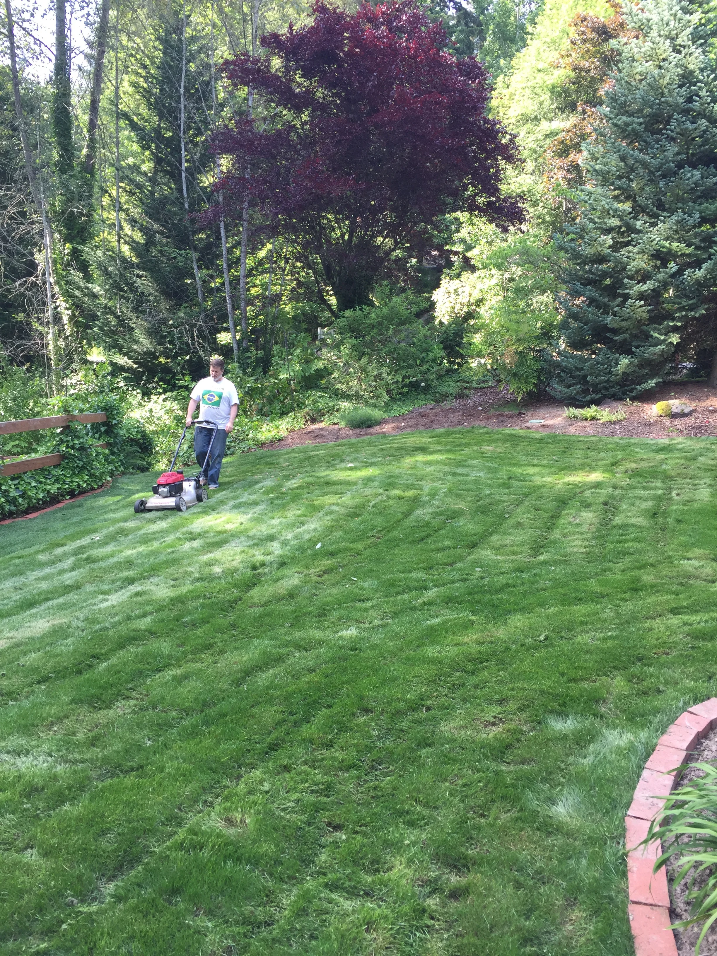 Steve mowing the new yard!
