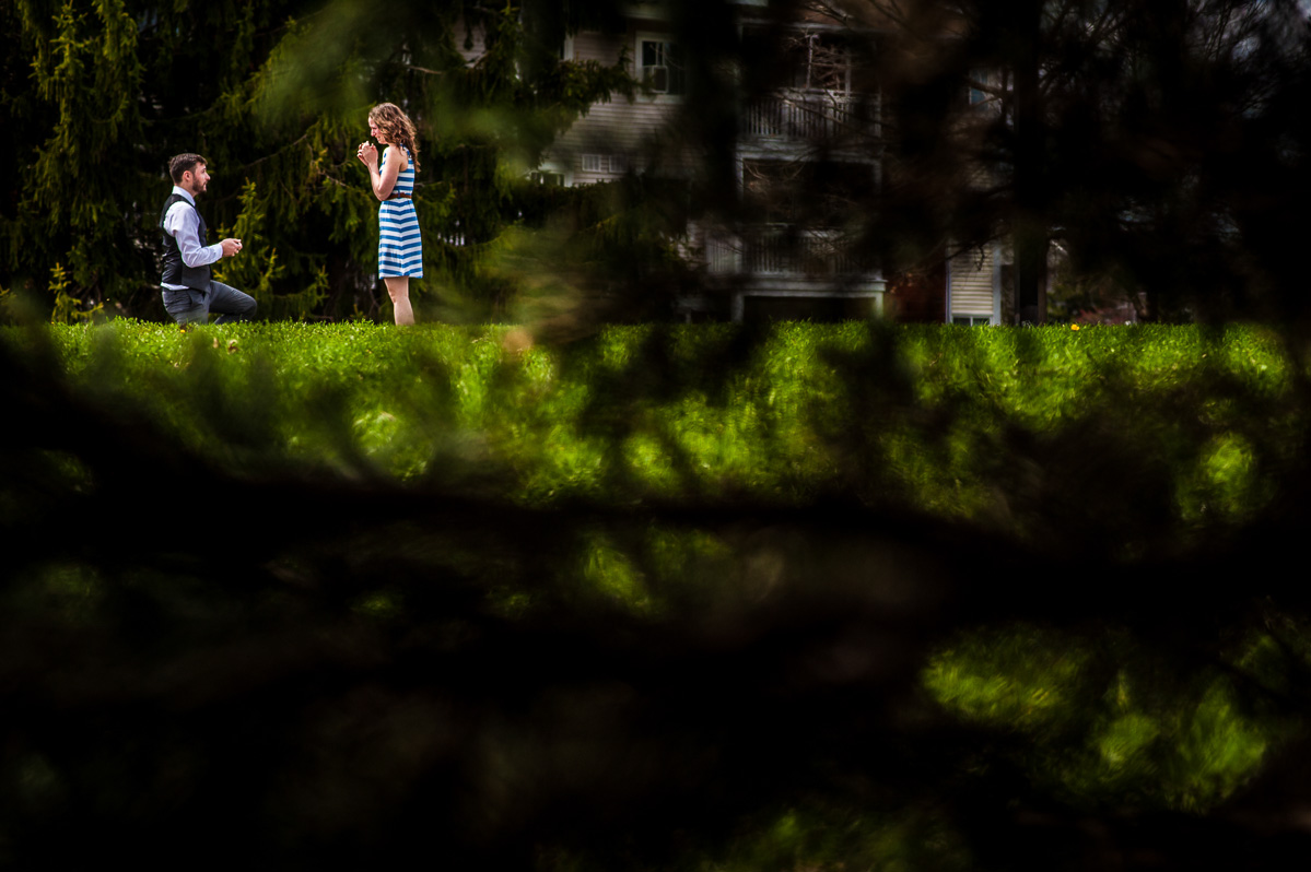 Green Tea Photography-89.jpg