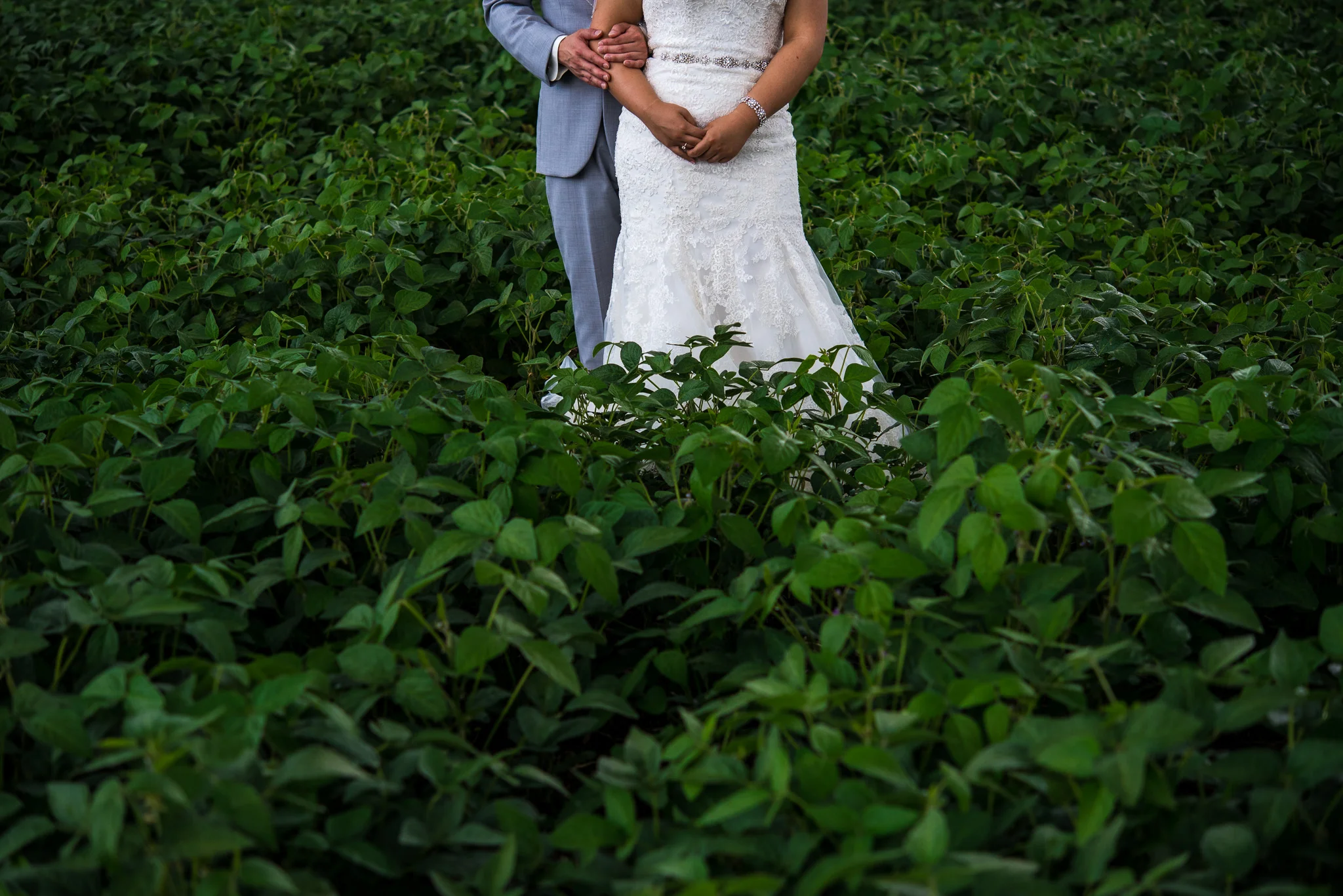Melissa and Joe Blog-29.jpg