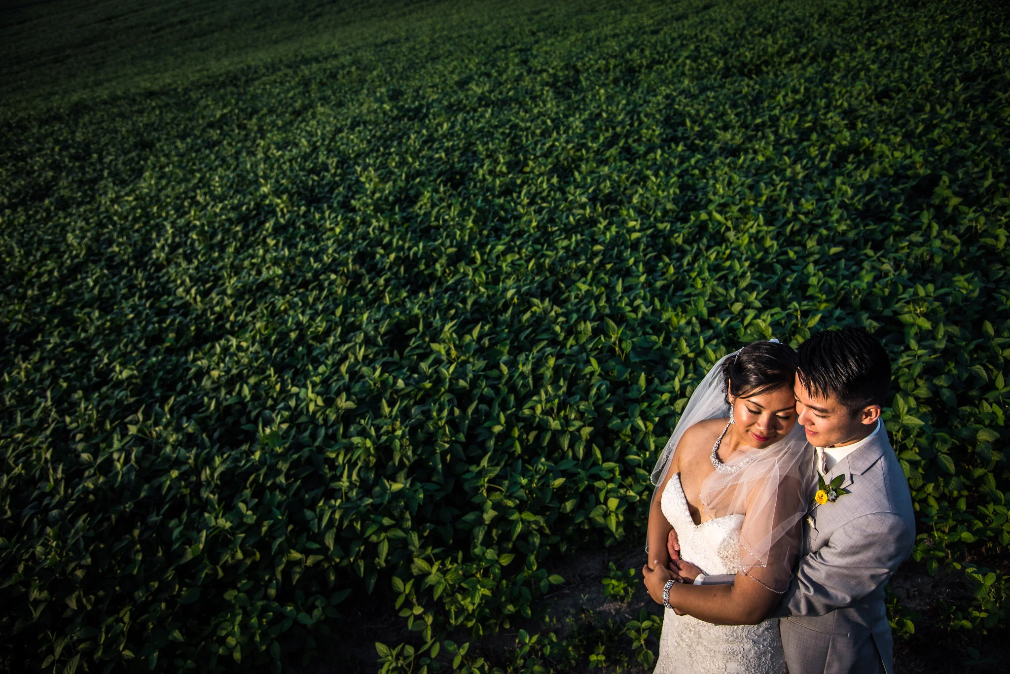 Melissa and Joe Blog-93.jpg