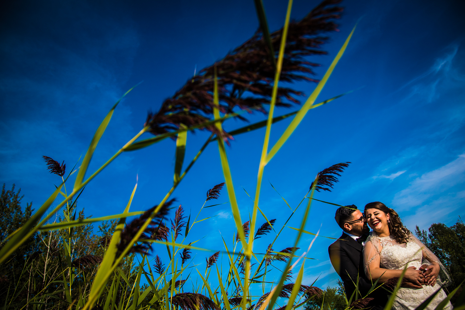 Amir and Niloo Blog-32.jpg