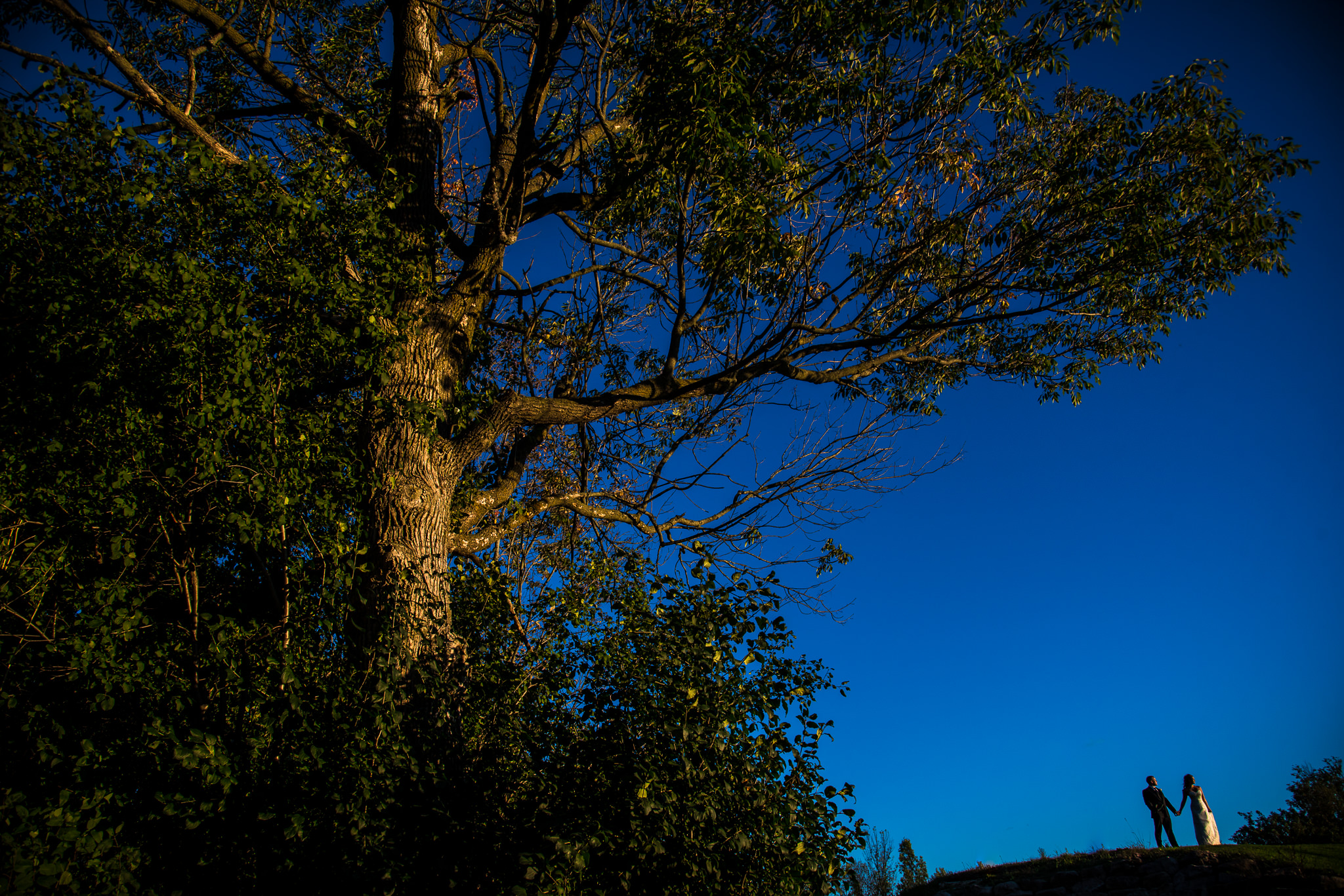 Green Tea Photography-78.jpg