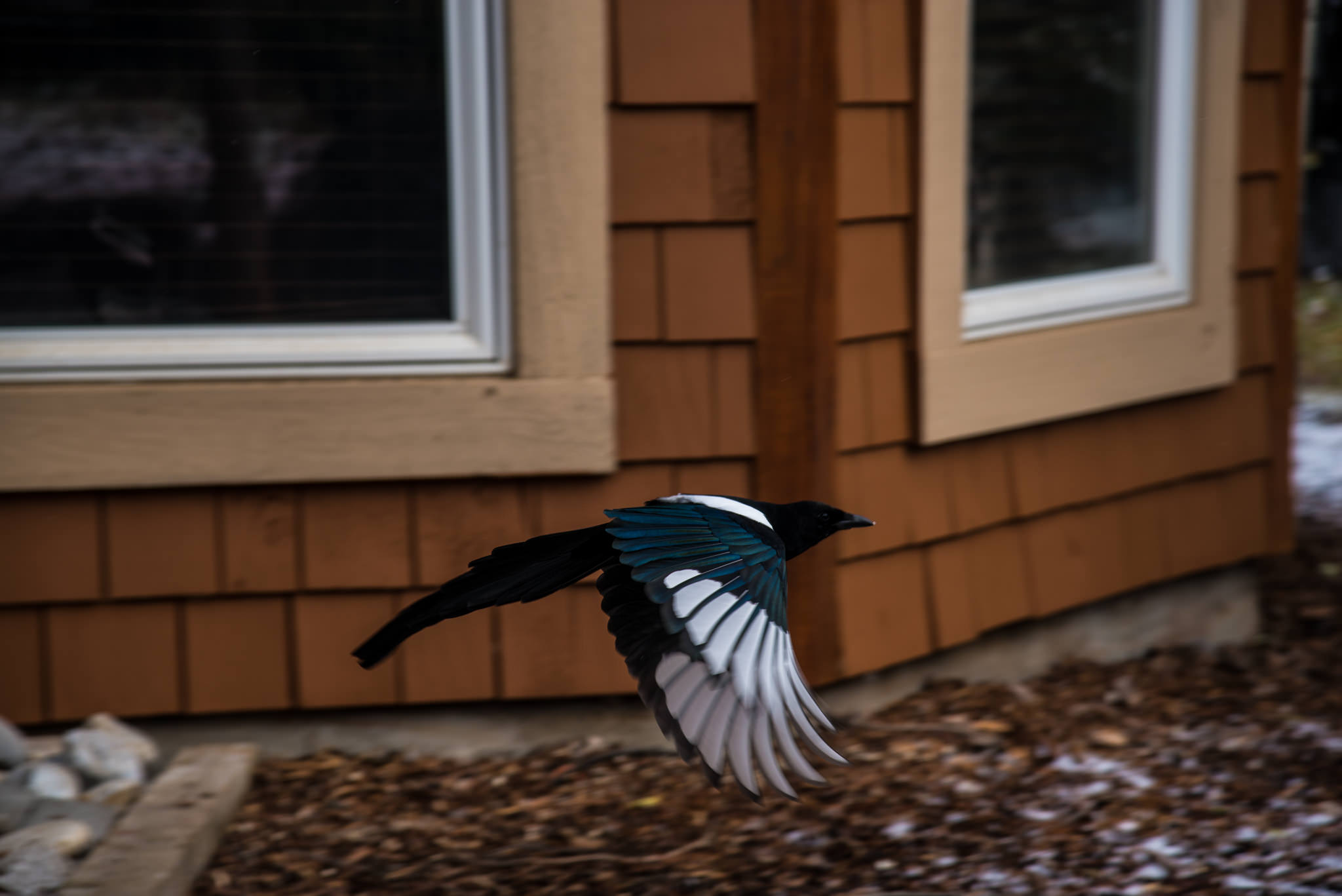 Banff Wedding-15.jpg
