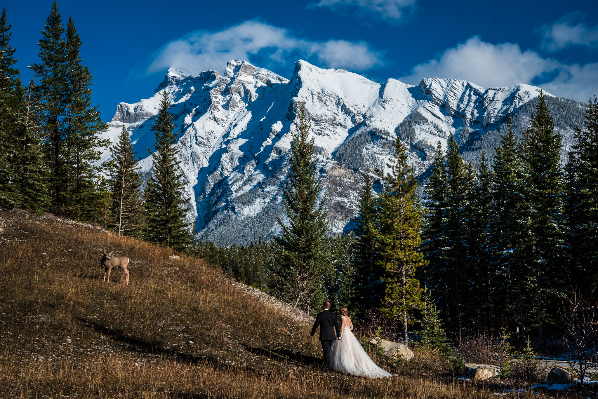 Banff Wedding-118.jpg