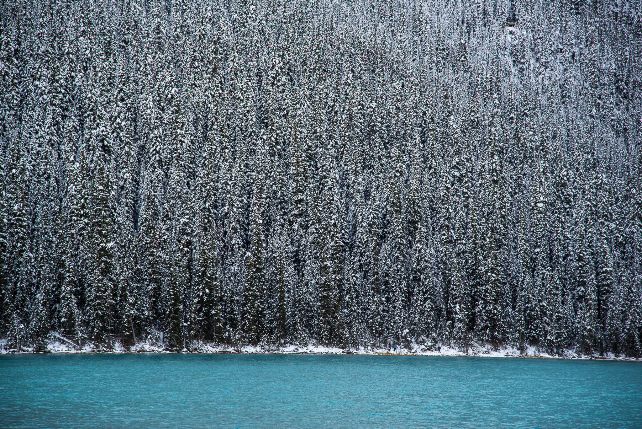 Banff Wedding-135.jpg