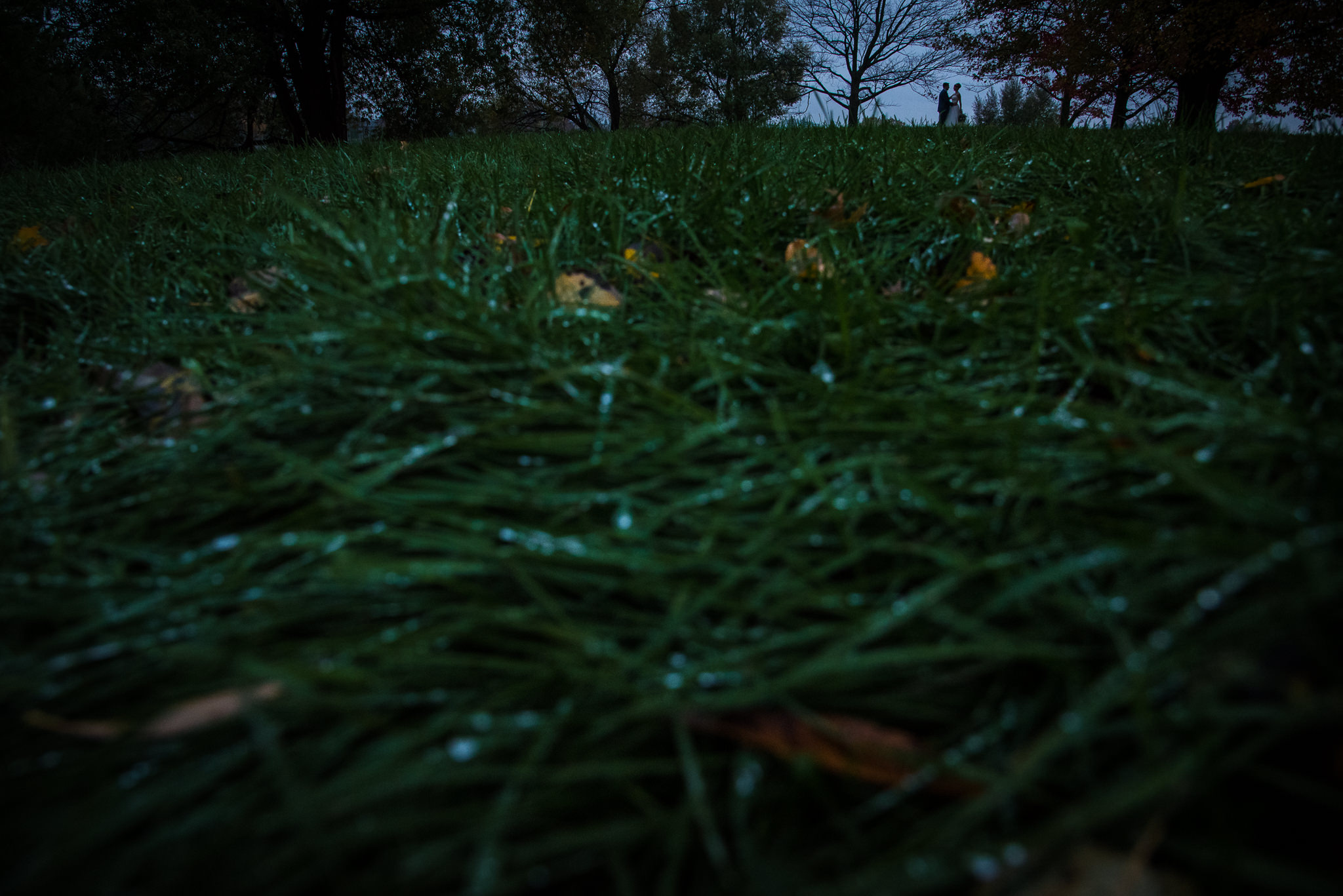 Green Tea Photography-33.jpg