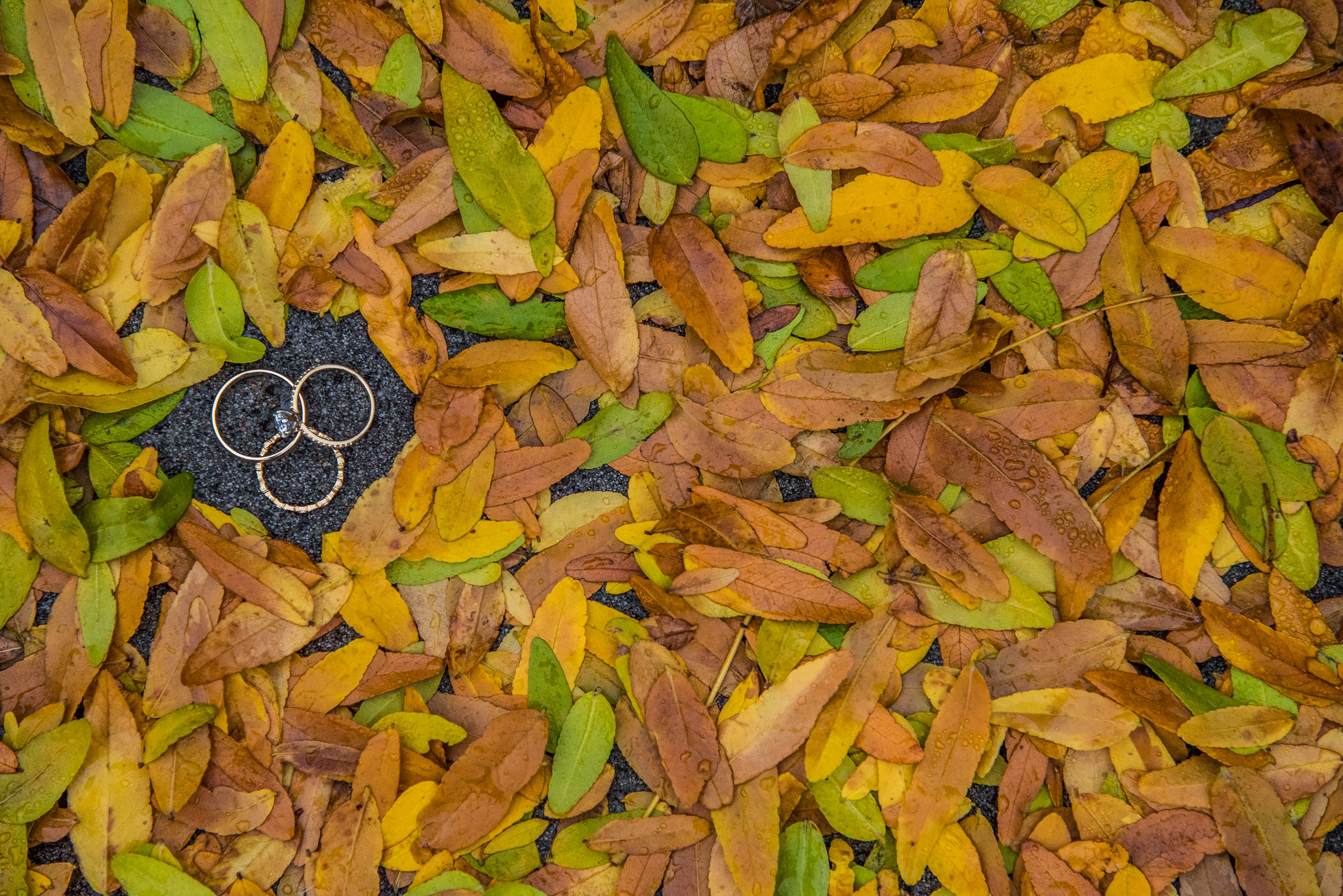 Green Tea Photography-27.jpg